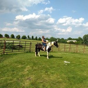 Meet your Posher, Terri